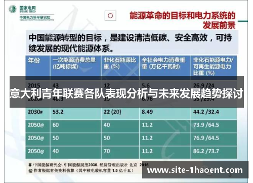 意大利青年联赛各队表现分析与未来发展趋势探讨